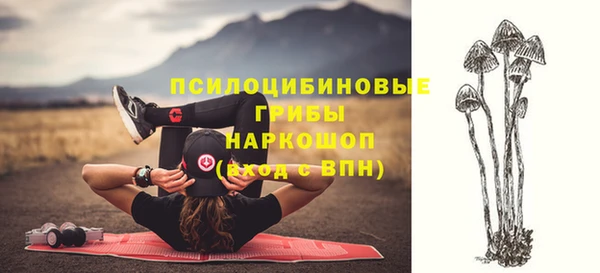 бутират Арсеньев