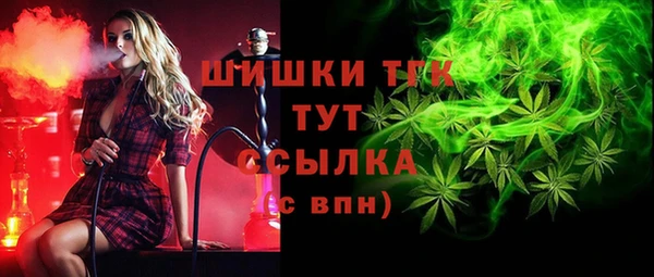 крисы Армянск