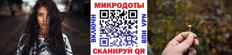 Купить  Отрадная  Галлюциногенные грибы Psilocybe 